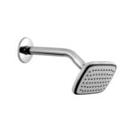 Dolphin Shower With 9inch Arm