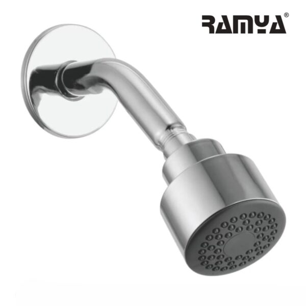 EES Shower With 9inch Arm